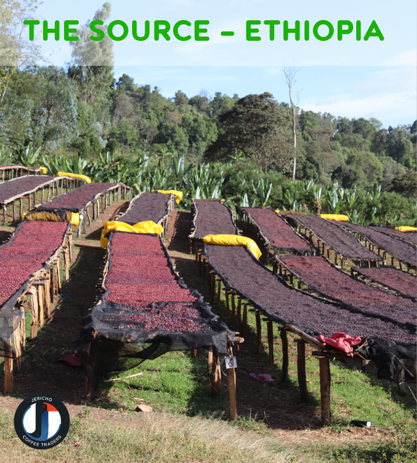 The Source - Ethiopia