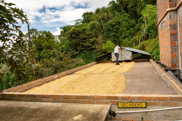 El Dorado - Colombia