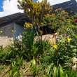 Load image into Gallery viewer, Las Brisas, Colombia 120g