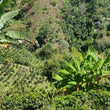 Load image into Gallery viewer, Las Brisas, Colombia 120g