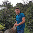 Load image into Gallery viewer, Las Brisas, Colombia 120g