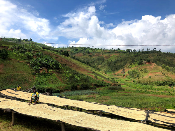 Mwami - Burundi