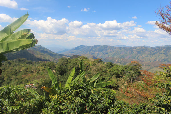 La Estrella - Colombia, short run