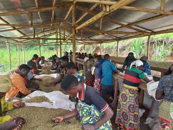 Mwami - Burundi