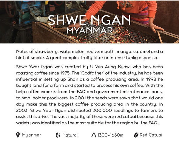 Shwe Ngan Myanmar origin card