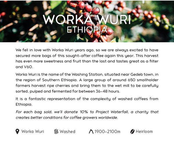 Project Waterfall - Ethiopia