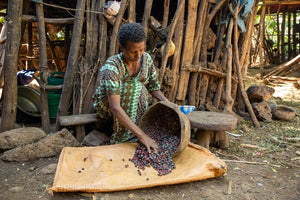 Project Waterfall - Ethiopia