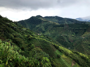 El Dorado - Colombia