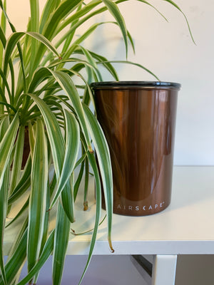 Airscape Coffee Canister - Mocha