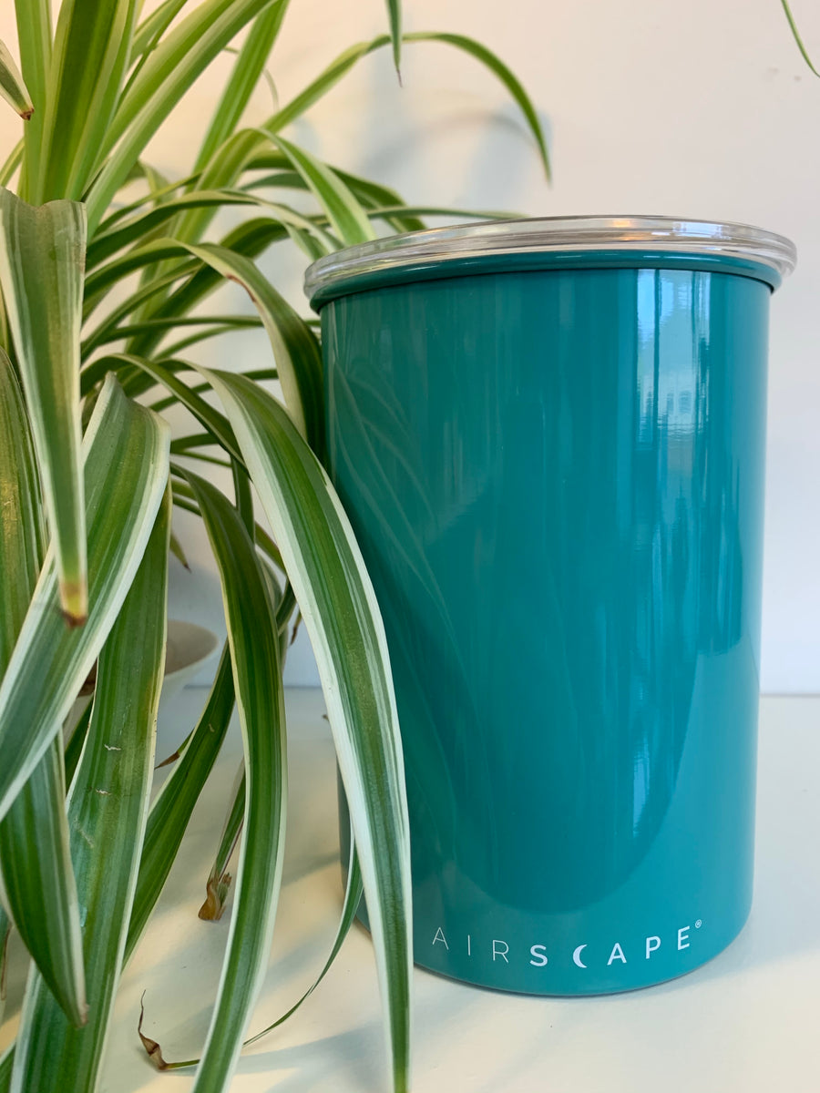 AirScape Coffee Canister - 500g