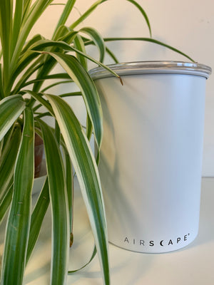 Airscape Coffee Canister Back - Matte White