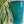 Load image into Gallery viewer, Airscape Coffee Canister Front - Turquoise
